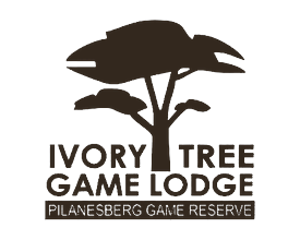 Ivory Tree Game Lodge