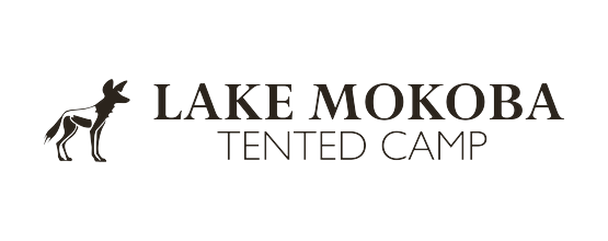 Lake Mokoba Tented Camp